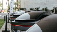 Gallery - immagine 7#