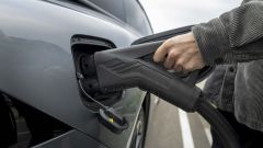 Gallery - immagine 11#