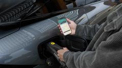 Gallery - immagine 10#