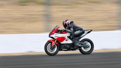 Gallery - immagine #14