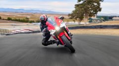 Gallery - immagine #13