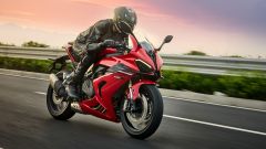 Gallery - immagine 4#