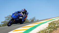 Gallery - immagine 3#