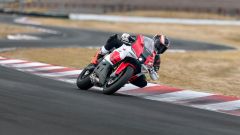 Gallery - immagine 9#