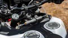 Gallery - immagine 5#