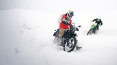 Gallery - immagine 4#