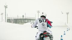 Gallery - immagine 7#