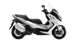 Gallery - immagine #16