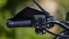 Gallery - immagine 10#